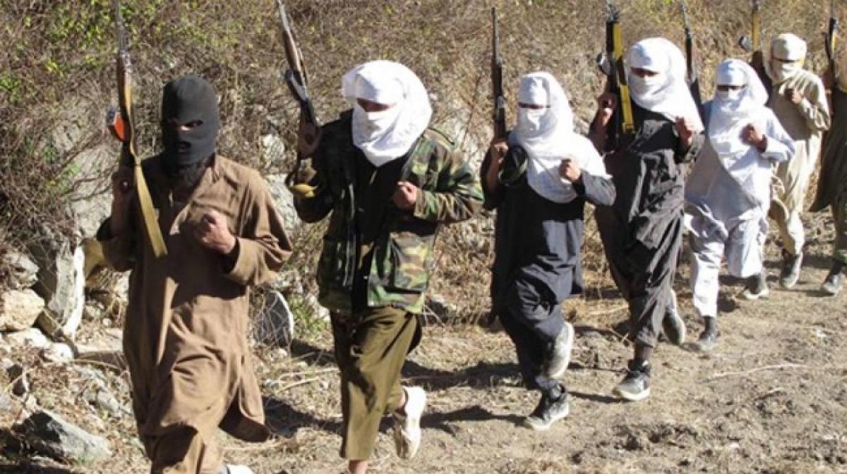 800 al-Qaeda fighters killed in Yemen anti-jihad offensive